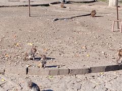 -哈尔滨北方森林动物园