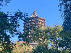 -玲珑塔公园
