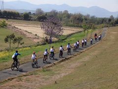 -GIANT捷安特自行车专卖店(金桥台儿庄路店)