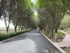 -水磨沟公园