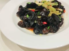 -红杏酒家(凤凰店)