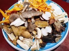 -菌之家·专业纯野生菌火锅·特色炒菌
