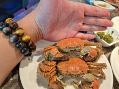 -曼格活海鲜·牛排自助(光明蓝鲸店)