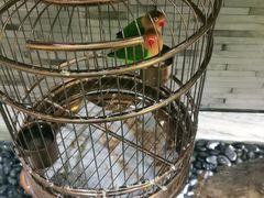 -小厨娘淮扬菜(六合欢乐港店)