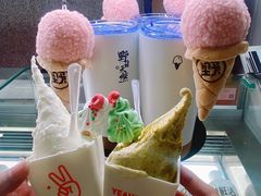 -野人先生现做冰淇淋(北京环宇荟店)