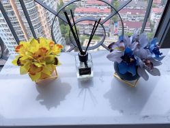 -MIVI野生眉纹绣纹眉