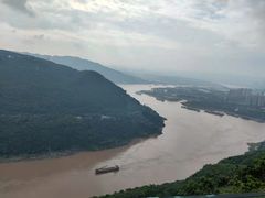 -铁山坪森林公园