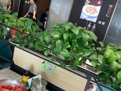 -北纬39度天津宴(黑牛城道店)
