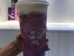 多肉葡萄-喜茶(迪士尼小镇DP店)