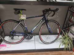 -道路口单车爱瓦士dahon大行