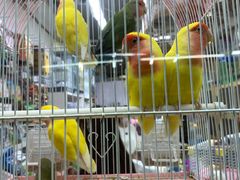 -三旗百汇商品城