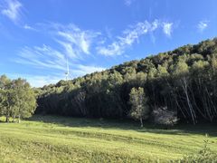 -御道口草原森林风景区