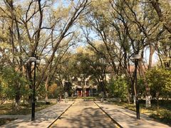-山东大学(洪家楼校区)