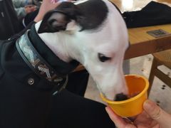 -老梦面包CHEZMOREL(麦子店)