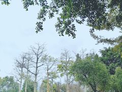 -光明港公园