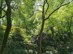 -白沙古井