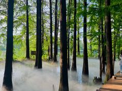 -东湖落雁景区