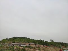 -南泥湾风景区