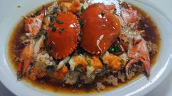 -上海金桥红枫万豪酒店·宴会厅