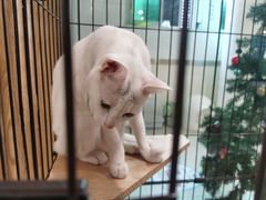 -iF摄影•全家福•证件照•形象照(南山店)