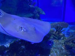 -海合安武汉极地海洋公园