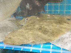 -聚德福海鲜家常菜(刘庄店)