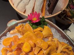-季季山·云南野生菌火锅(上海首店)