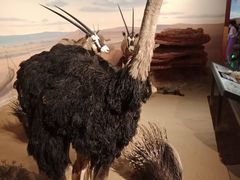 -陕西自然博物馆