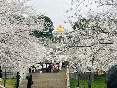 -苏州上方山国家森林公园