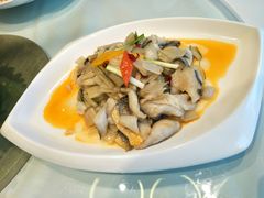 -张生记(丁香国际店)