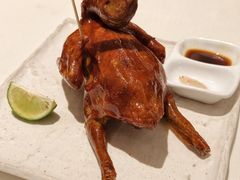 -侨美·唐荔园·40年地道粤菜