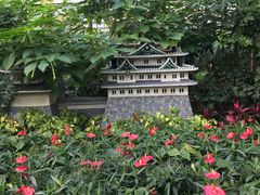 景点-南宫五洲植物乐园