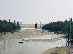 海滩入口-北海金海湾红树林生态旅游区