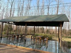 -合肥滨湖国家森林公园