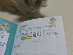 -瑞派旺宝宠物医院·犬猫全科综合·尿道专科(莲兴院)