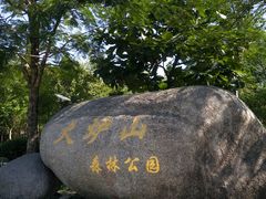 -火炉山森林公园