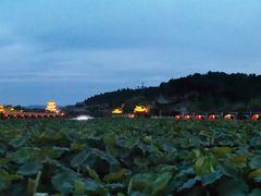 -渭南桃花源民俗文化园