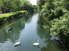 -长白岛森林公园