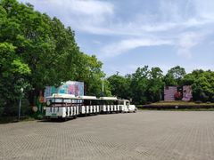 -上海海湾国家森林公园