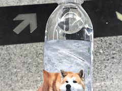 -潘家园(地铁站)