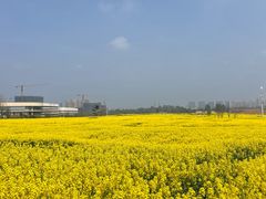 -三圣花乡旅游区