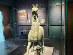 -广西壮族自治区博物馆