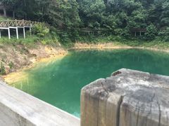 -广州市流溪河国家森林公园