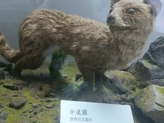 -杭州西湖博物馆总馆