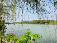 -艾溪湖湿地公园