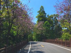 -广州市流溪河国家森林公园