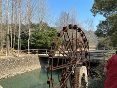 -温州永嘉书院