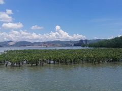 -盐洲岛