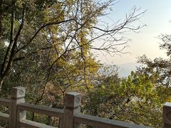 -灵岩山风景区
