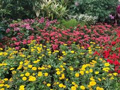 -荔枝公园(福田区)